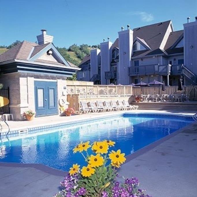 Blue Mountain Suites Blue Mountains Esterno foto